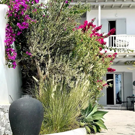 Dear John, A Serene Escape Near Elia