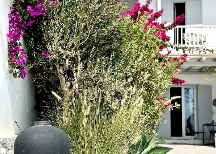 Dear John, A Serene Escape Near Elia